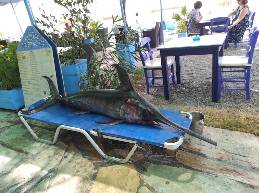 Island Villa Agia Galini  Ngoại thất bức ảnh